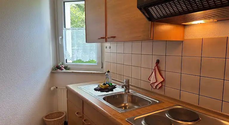 Ferienwohnung in Hahnenklee-Bockswiese