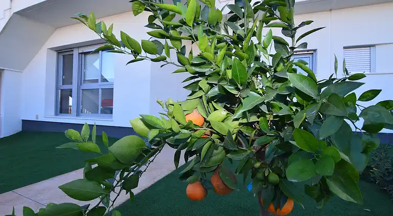 Holiday home in Orihuela