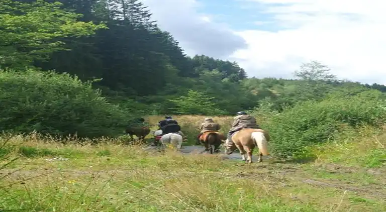 Holiday home in Orihuela