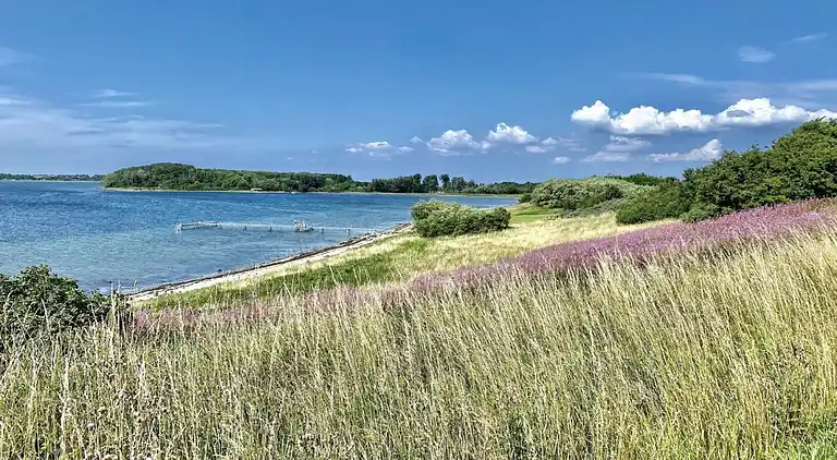 Isefjords Idylle im schönen Hornsherred