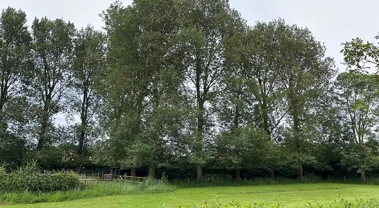 Farm house in Zuidzande