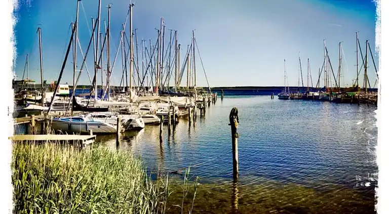 Appartement in Neuburg