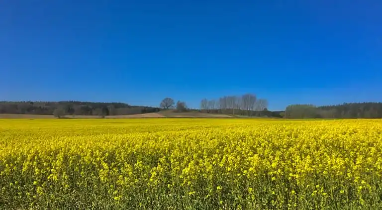 Appartement in Neuburg