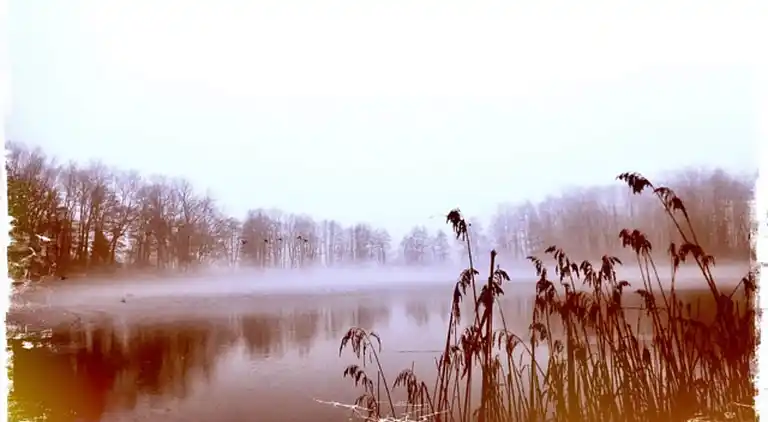 Appartement in Neuburg