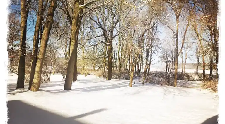 Appartement in Neuburg