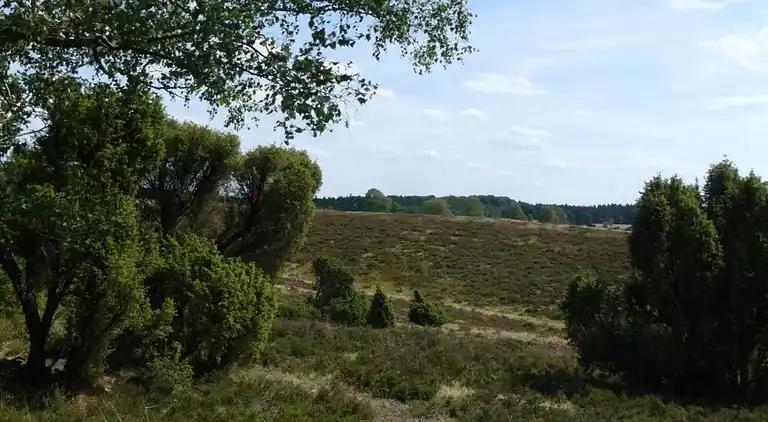 Sommerhus i Osterheide