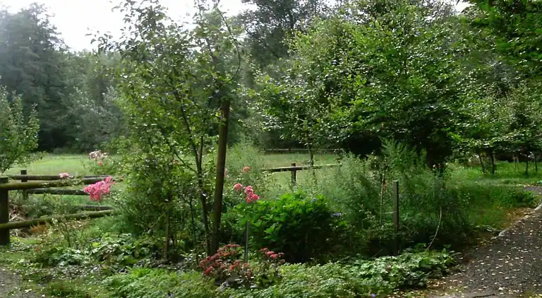 Sommerhus i Osterheide