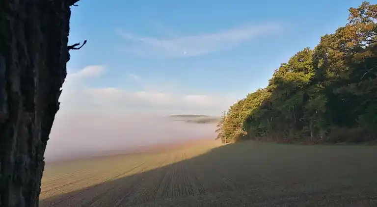 Apartment in Löwensen