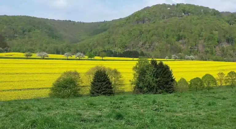 Apartment in Löwensen