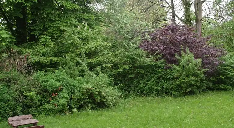 Apartment in Löwensen
