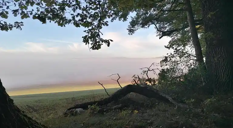 Apartment in Löwensen