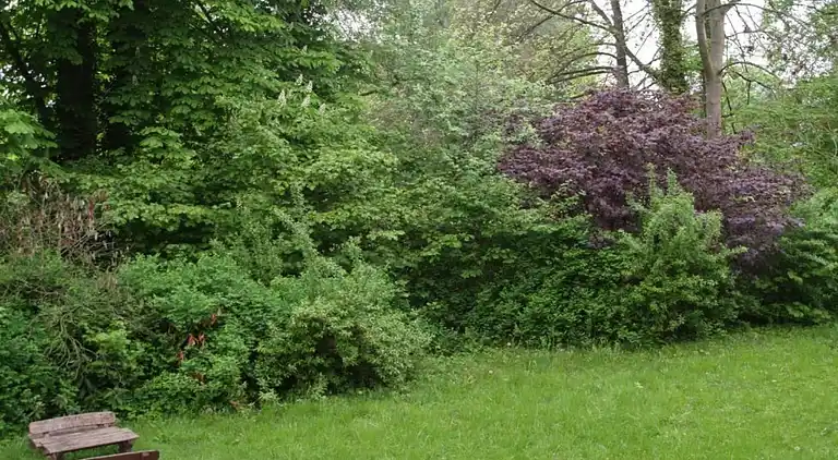 Apartment in Löwensen
