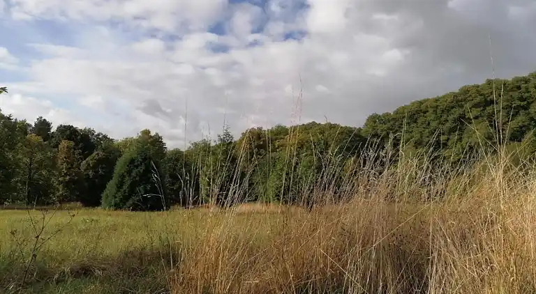 Apartment in Löwensen