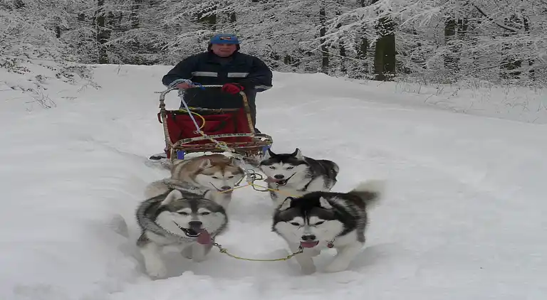 Ferielejlighed i Diemelsee