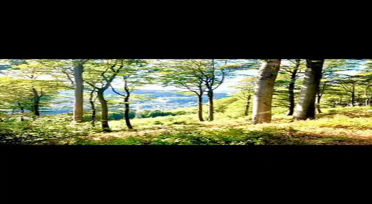 Ferienhaus in Ramsbeck