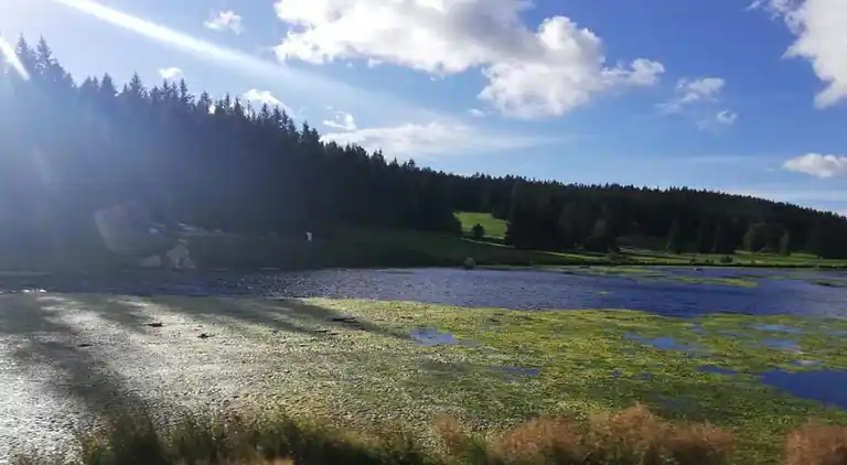 Ferienhaus in Ramsbeck