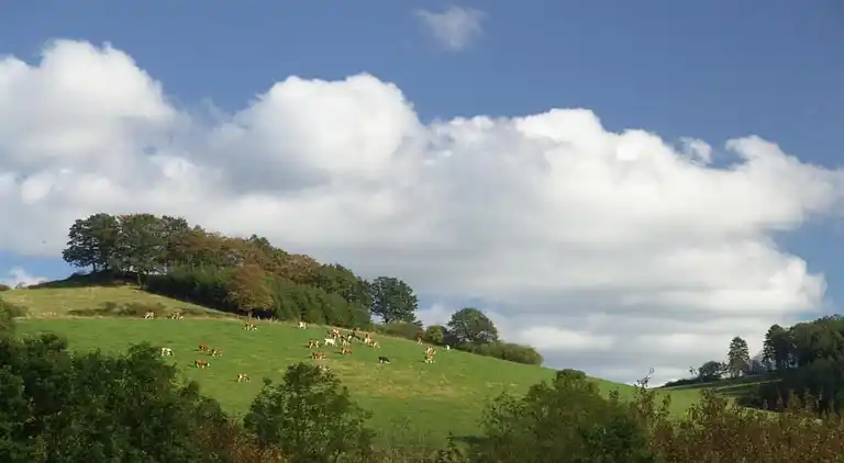 Feriebolig i Werdern