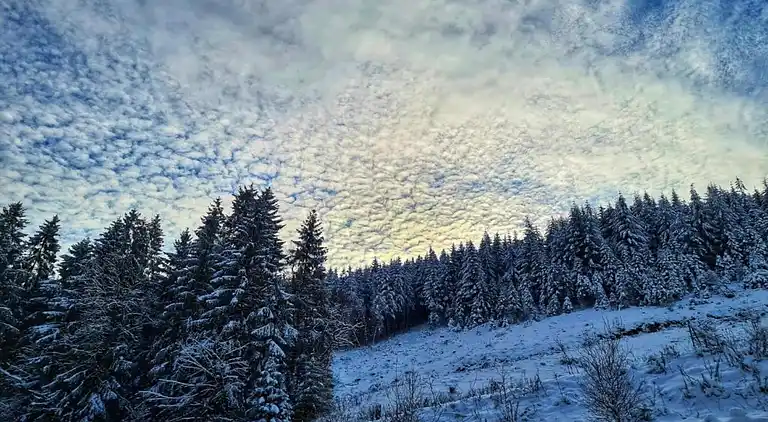 Holiday home in Ramsbeck