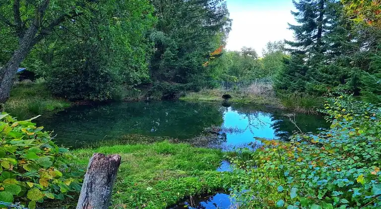 Holiday home in Ramsbeck