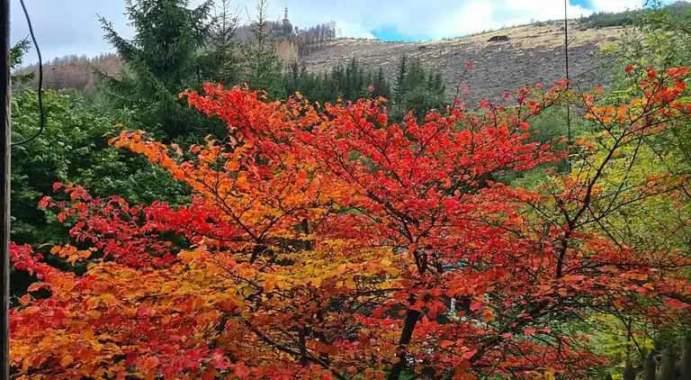 Holiday home in Ramsbeck