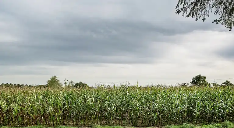 Holiday home in Broons