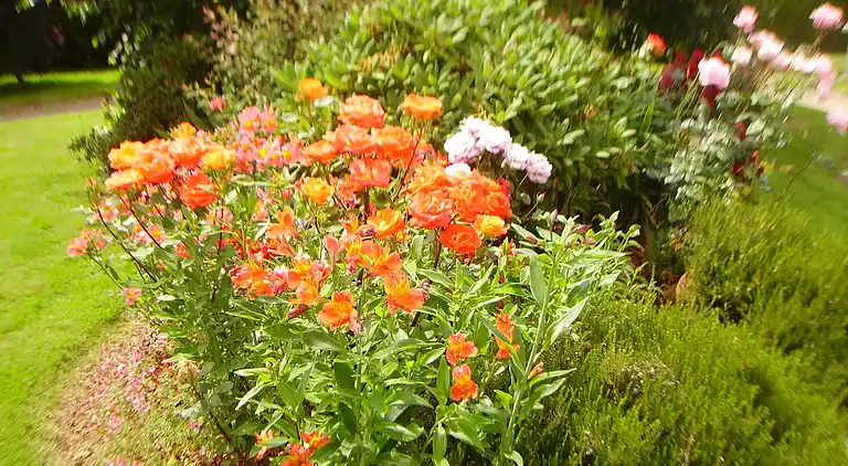 Sommerhus i Louargat