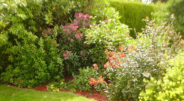 Sommerhus i Louargat