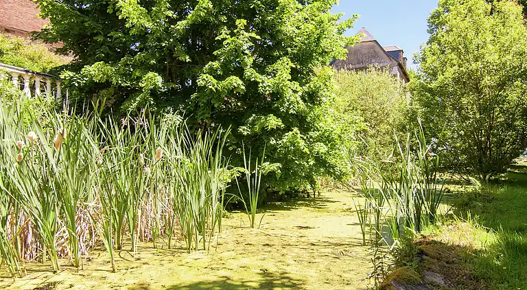 Herregård i Saint-Mesmin