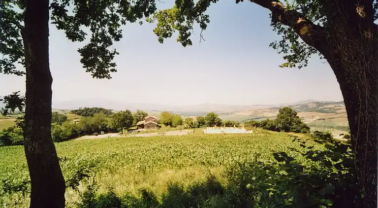 Farm house in Proceno