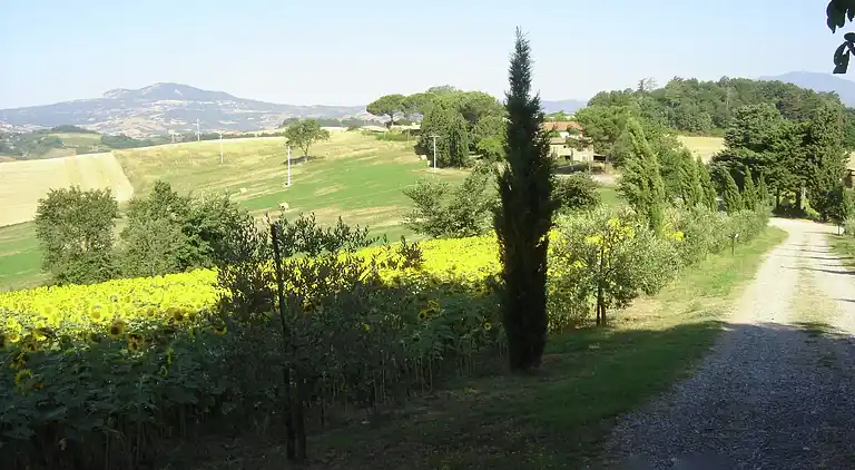 Farm house in Proceno