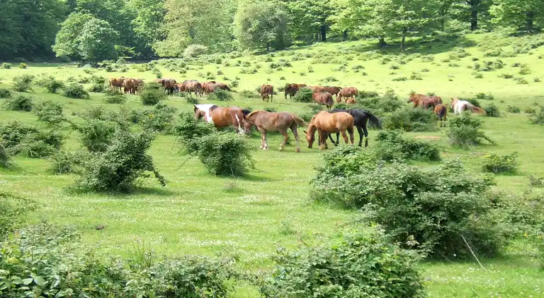 Holiday home in Selci