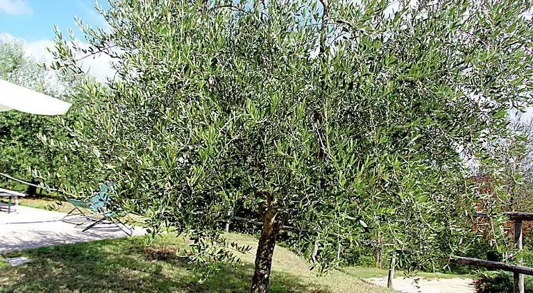 Holiday home in Gubbio