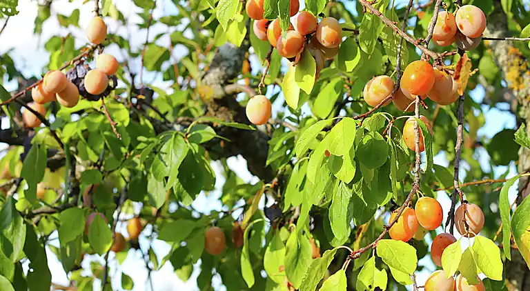 Holiday home in Gubbio