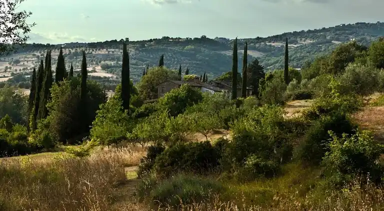 Herregård i San Feliciano