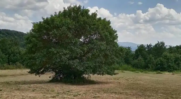 Casa vacanze in Piegaro