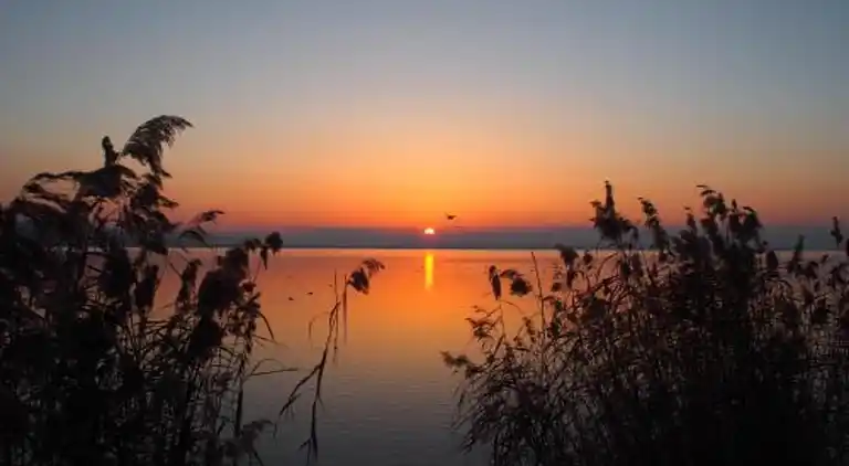 Holiday home in Magione