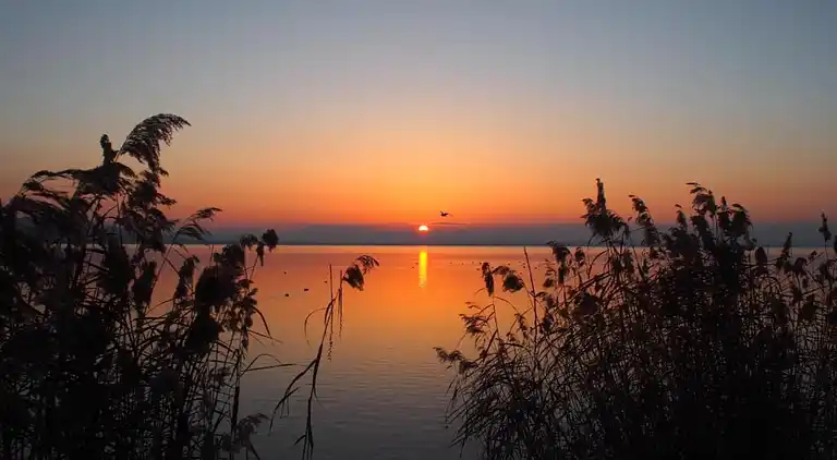 Herregård i San Feliciano