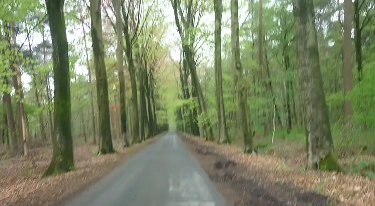 Herregård i Ruiselede