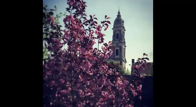 Casa vacanze in Ruiselede