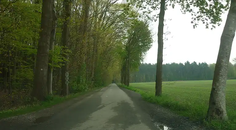 Herregård i Ruiselede