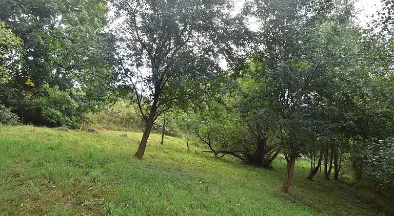 Holiday home in Javorník