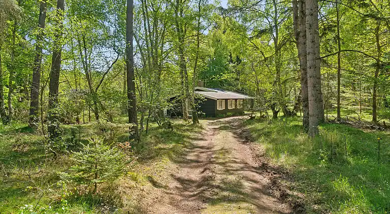 Nyistandsat sommerhus tæt ved skov og strand