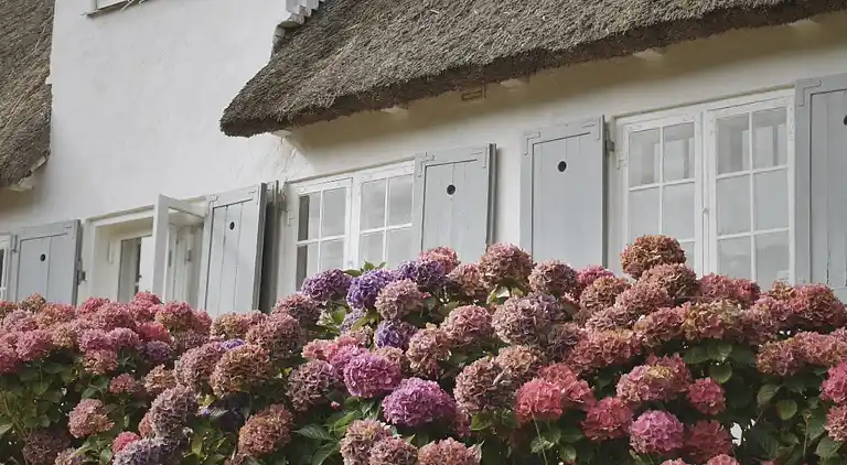 Ro i smukt renoveret landhus i Ålsgårde