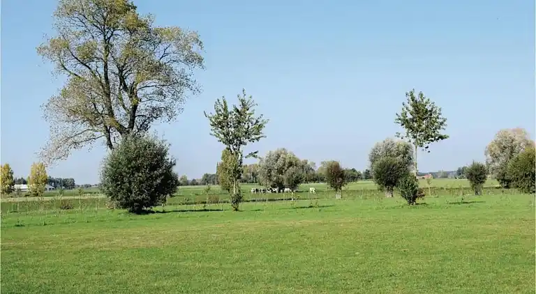 Holiday home in Cul-des-Sarts