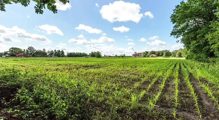 Holiday home in Cul-des-Sarts