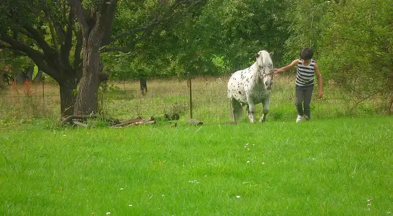 Holiday home in Gimnée