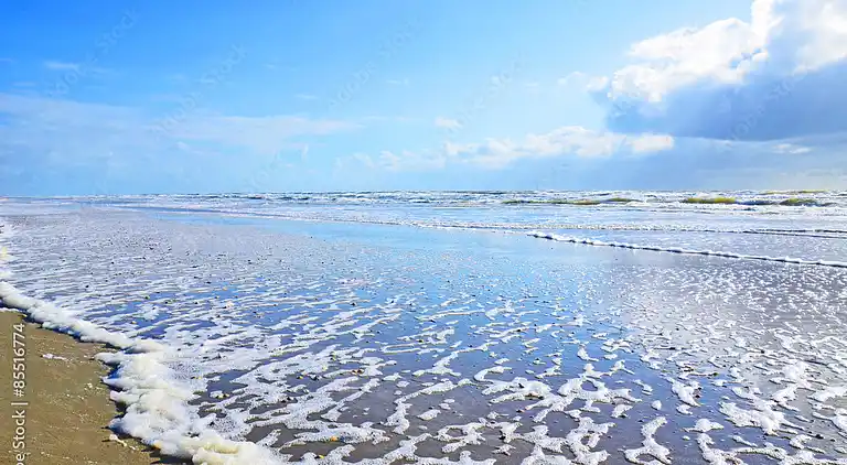 Ferienhaus im Unesco Wattenmeer Nationalpark