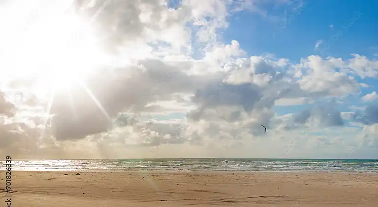 Ferienhaus im Unesco Wattenmeer Nationalpark