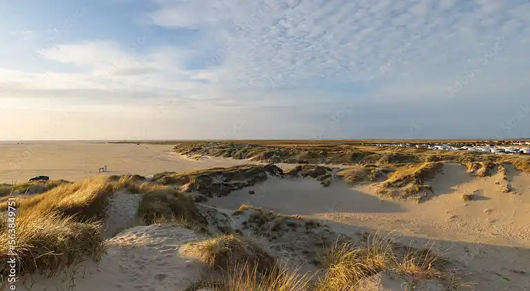 Ferienhaus im Unesco Wattenmeer Nationalpark