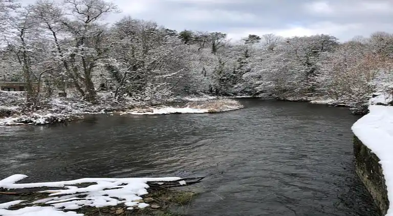Sommerhus i Lesterny